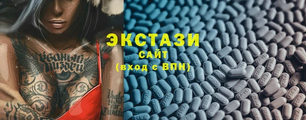 гидра Алексеевка