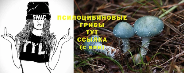 эйфоретик Алзамай