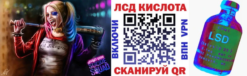 kraken ССЫЛКА  Сураж  Марки NBOMe 1500мкг  закладки 