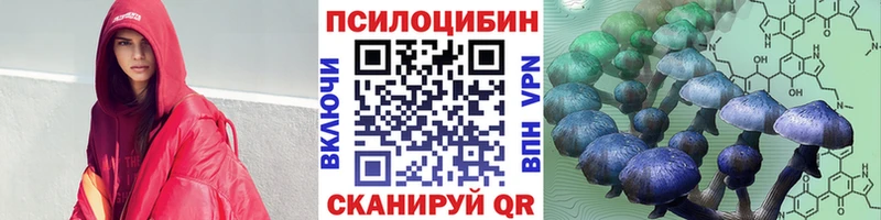 Галлюциногенные грибы GOLDEN TEACHER  мега маркетплейс  Сураж 