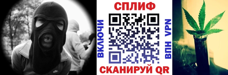 закладка  Сураж  Канабис White Widow 